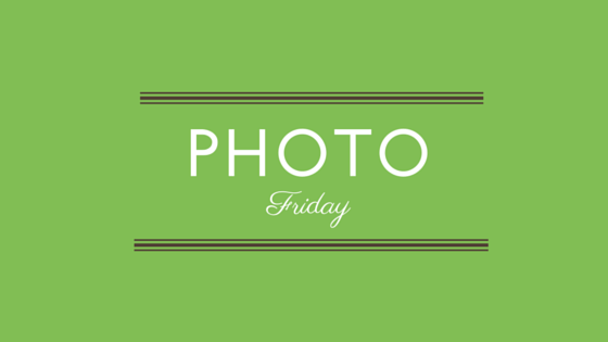Photo Friday!