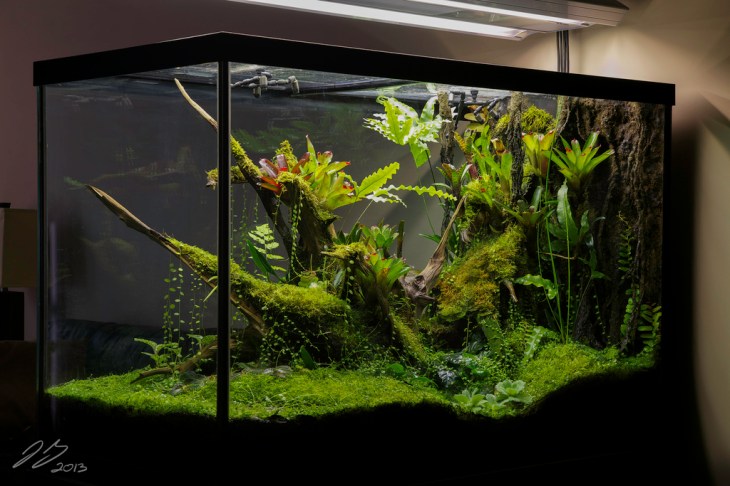 8701068256_ed388ce356_b