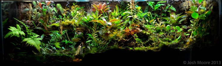 9197308780_61b73930d8_b