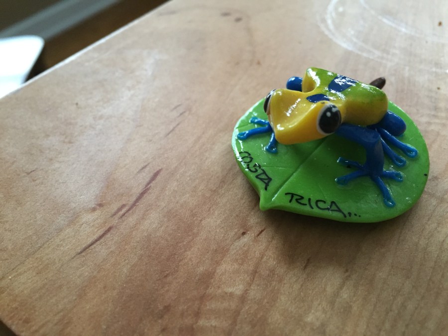 Frog Room Accessories!