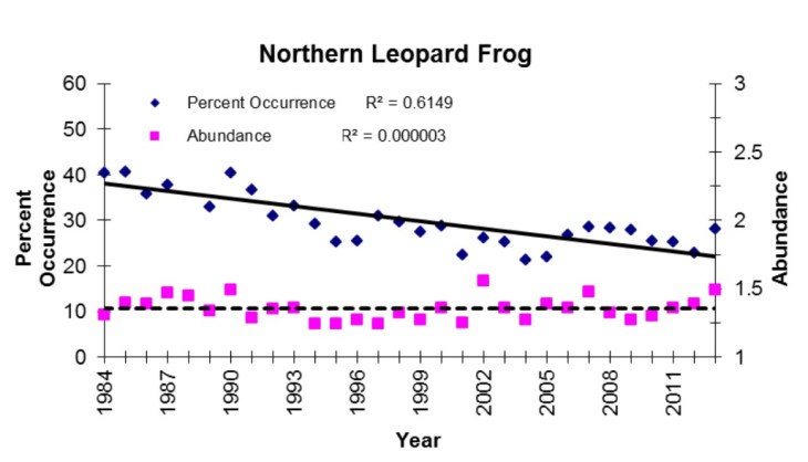 leopard frog stats