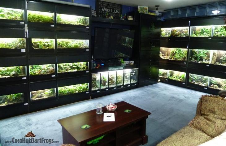 Chris Luce's Frog Cave 