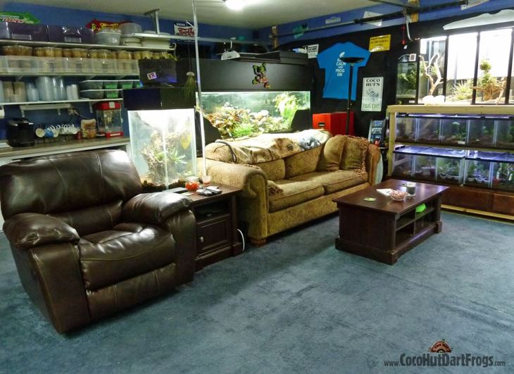 Chris Luce's Frog Cave