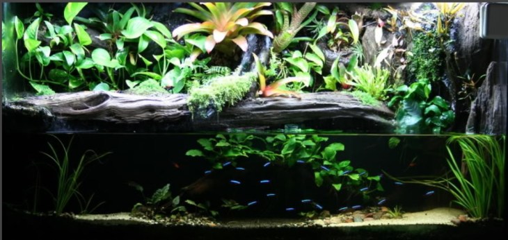 Kristins 80 gallon