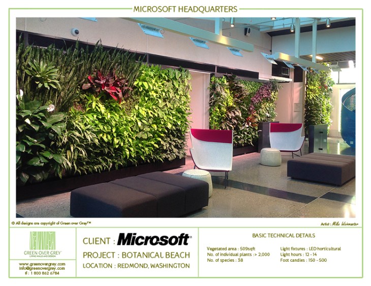 Microsoft-Green over grey