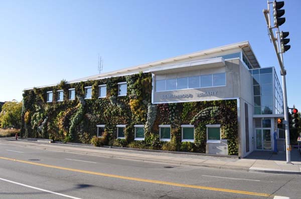 Semiahmoo-Library-Green-Wall-2