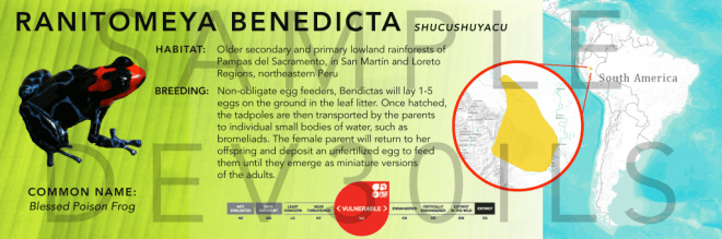 BenedictaInfoPanelSample