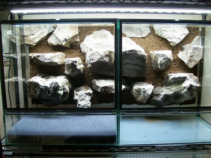 10791472925_9c06024152_c