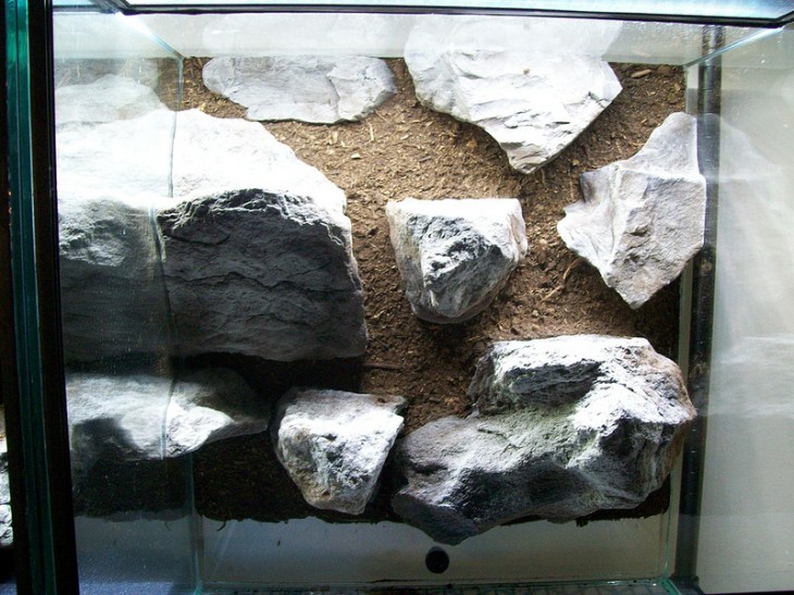 10791720343_f464fa10fa_c