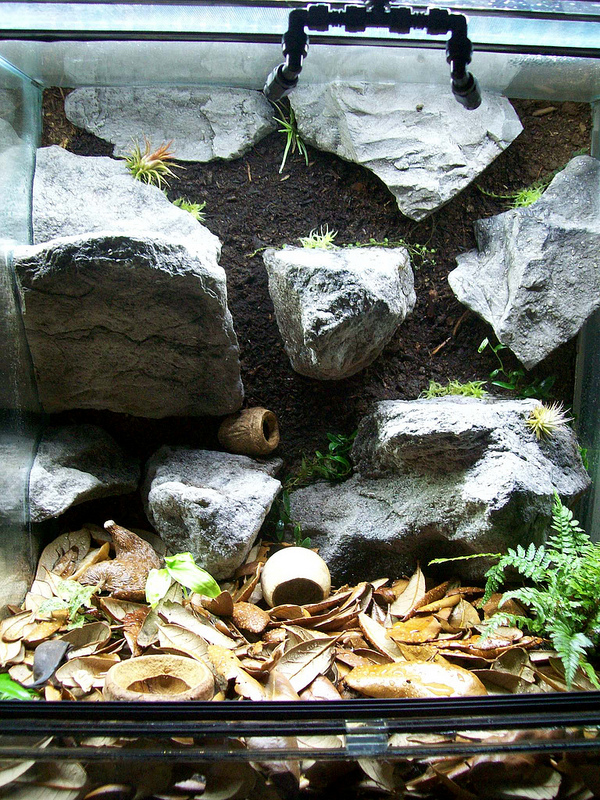 11042303773_773fae2d31_c