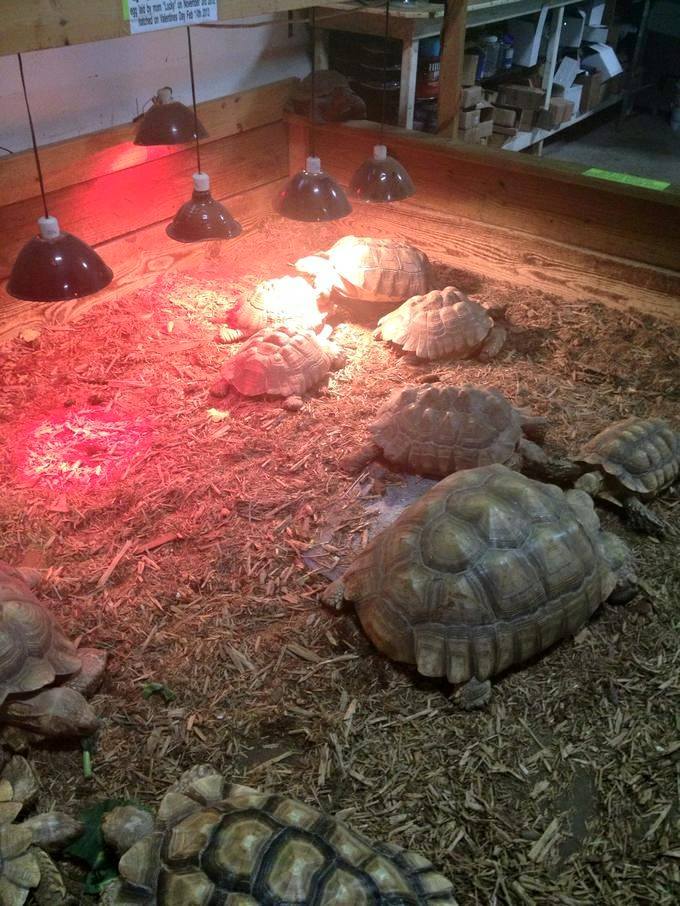 11070080_10153150527127905_1484462837238090670_n