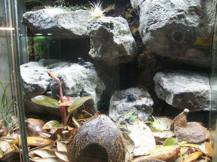 11094938383_9a6997927d_c