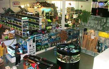 1662347_10153152467177905_6622318041357562313_n