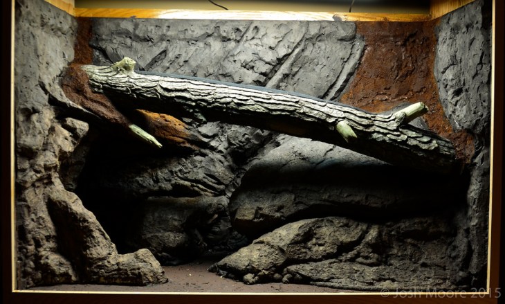 16674419845_60a0ffdcbd_b