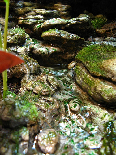 2222644790_b5399f3509