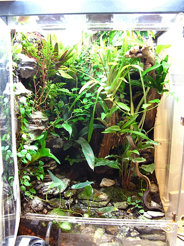 2222644870_f21932a8e3