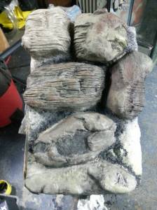 2be74bd3308c9f7dfde5de533c4944c7