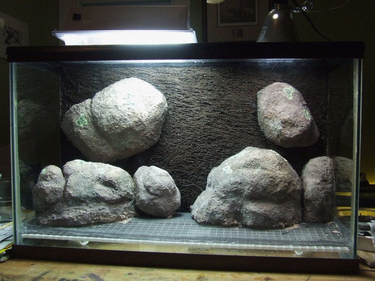 4455339779_9afc9f2543_b