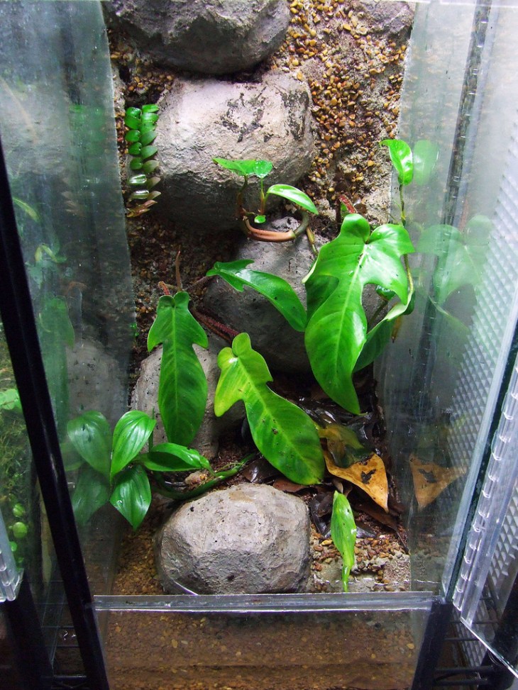 7048939349_f29ac8baa8_b