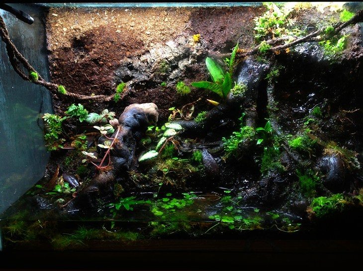 b0da0f02-7573-4a9c-a9bd-6b78792ba132_zps800a488f