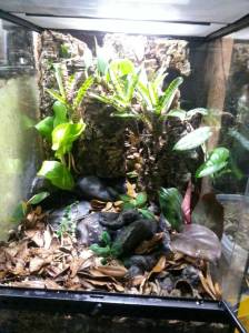 b1b596feff3cac0d604b39ec6c33462c