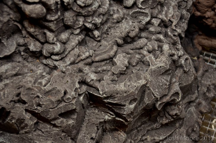 DSC_2456_zpsf2cc0d03