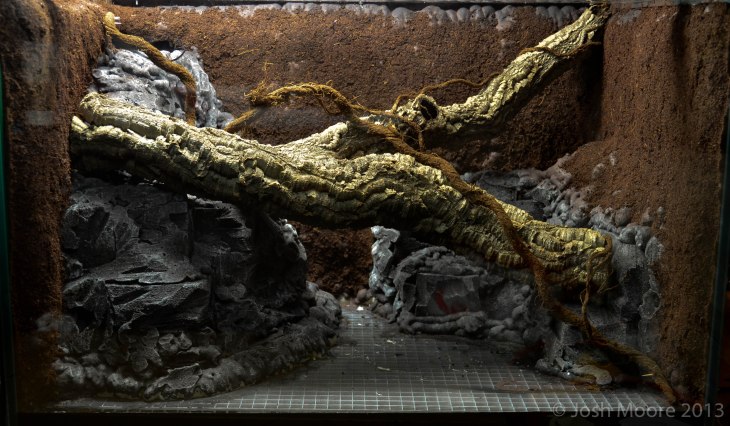 DSC_2637_zps6329404b