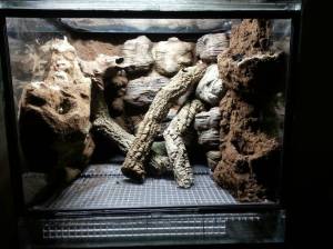 f1082b98fe7d79cdc9d77784f7b0149d