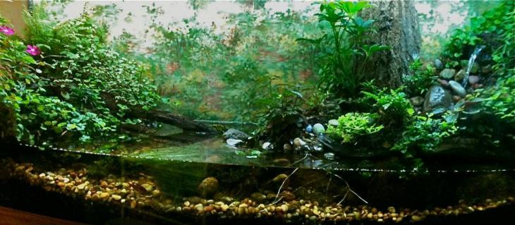 Fabric tank finished