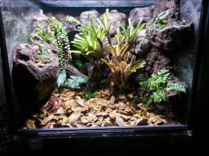 ff9596b2c32bbd9aa38619fd04561e9b