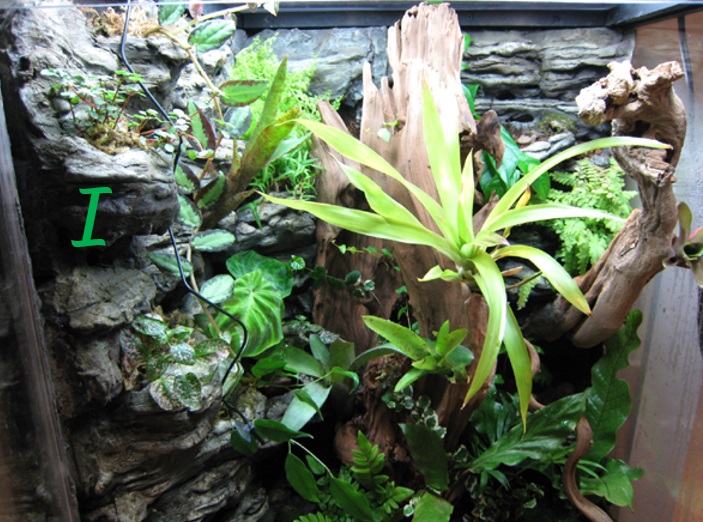 April A to Z Challenge – Letter&nbsp;I