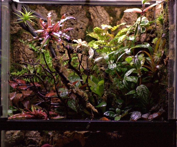 IMGP8939_zpsnxuznatl-pooky125