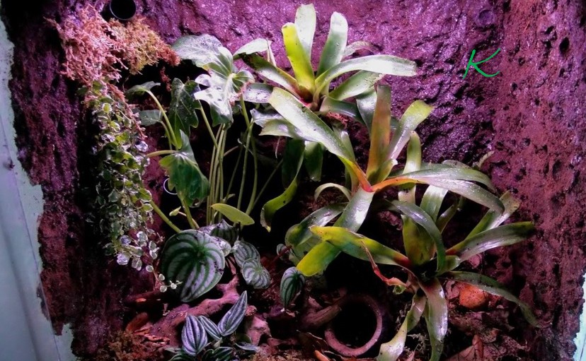 April A to Z Challenge – Letter&nbsp;K