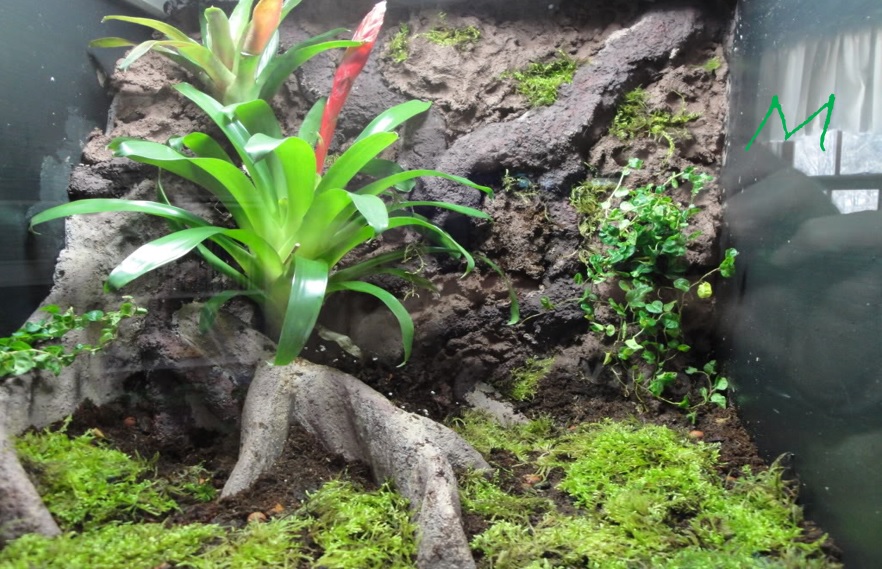 April A to Z Challenge – Letter&nbsp;M