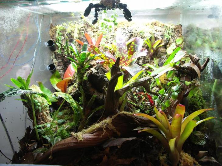 slope fronts scaped 034