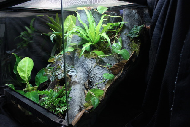 Vivarium Works