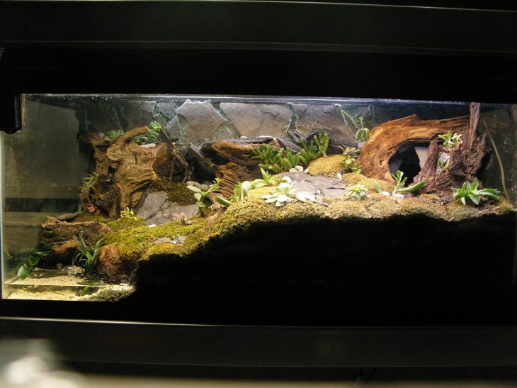 3293882819_c249b1982c_b