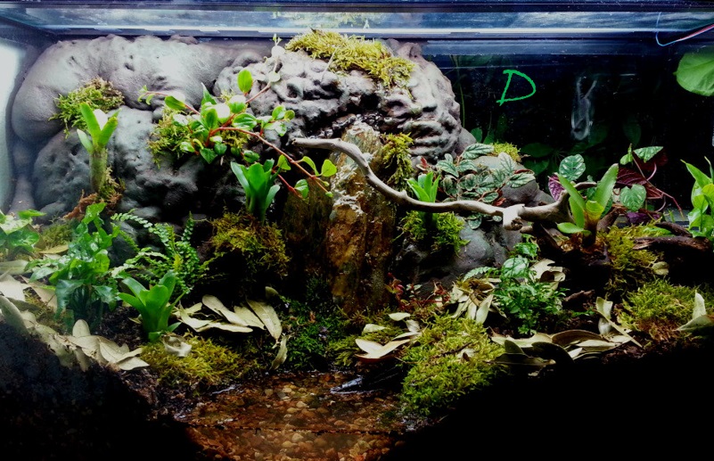 April A to Z Challenge – Letter&nbsp;D