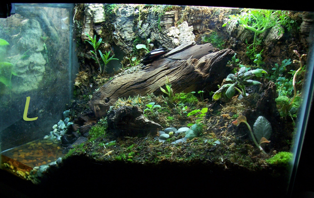 April A to Z Challenge – Letter&nbsp;L