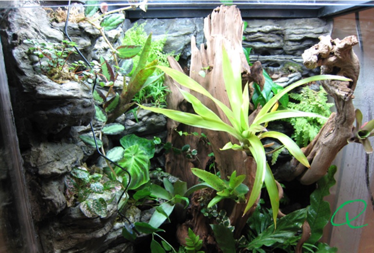 April A to Z Challenge – Letter&nbsp;Q