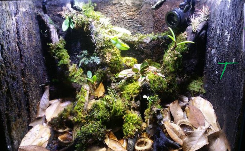 April A to Z Challenge – Letter&nbsp;T