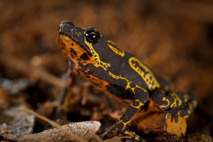 14265073485_38d12cde93_b