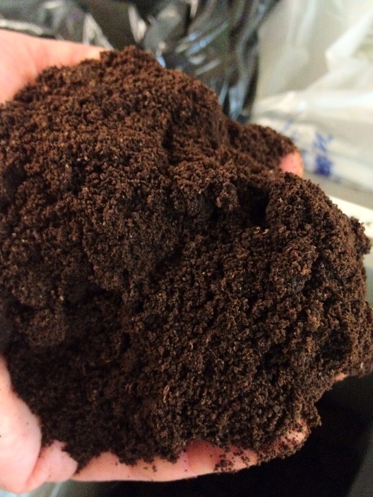 coffee_grounds_fertilizer