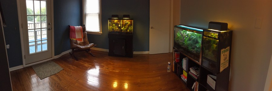 Frog Room Version 2.0&nbsp;Complete