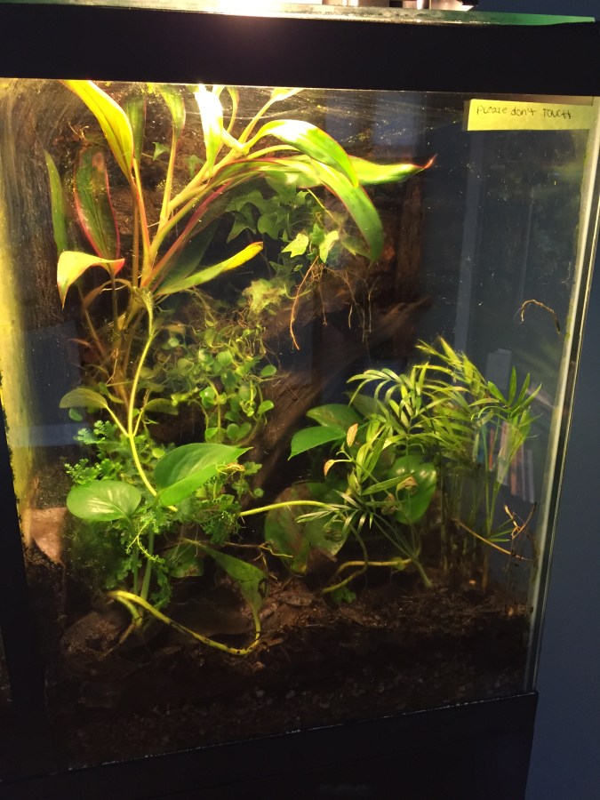 What to do with this Old&nbsp;tank?