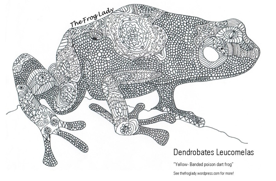 Dendrobates Leucomelas Frog&nbsp;Doodle