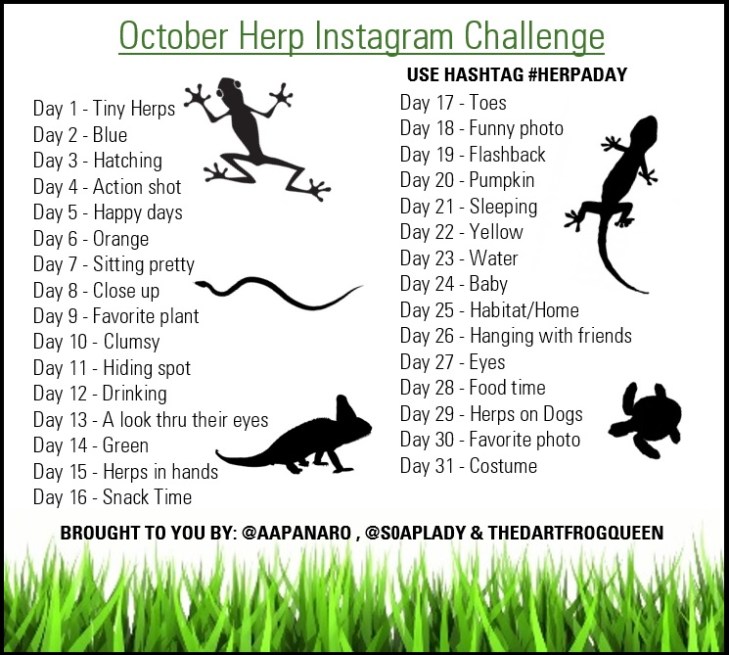 OCTOBER CHALLENGE FINAL 2