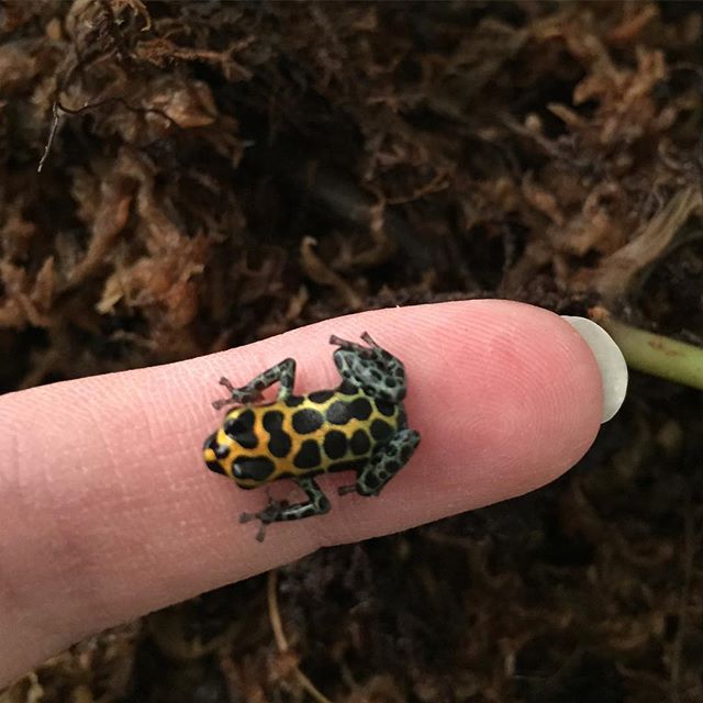 October Instagram Challenge – Day&nbsp;1