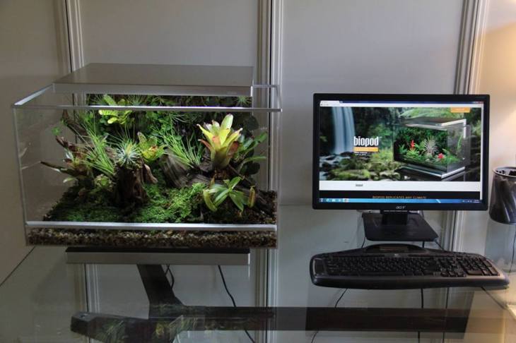 11999075_163512963987489_7810270900573185975_n