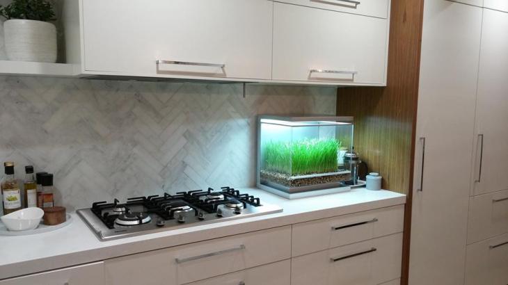 12004942_167907340214718_1473626163184675158_n